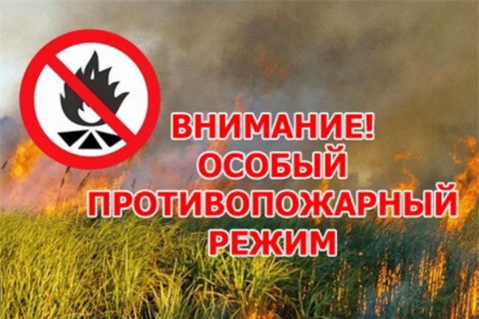 С 27 июля в Мариинско-Посадском районе введен особый противопожарный режим