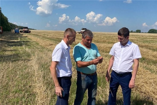 Продолжаются работы по уборке урожая