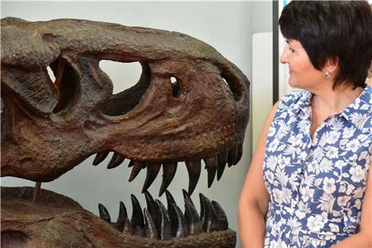 «Древняя жизнь»: 500 миллионов лет в одной выставке Вятского палеонтологического музея