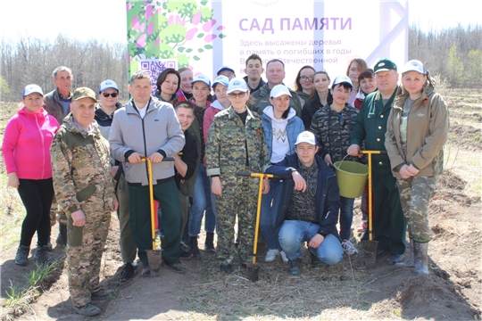 Сохраним память и традиции: В Чувашии продолжаются посадки деревьев в рамках акции «Сад памяти»