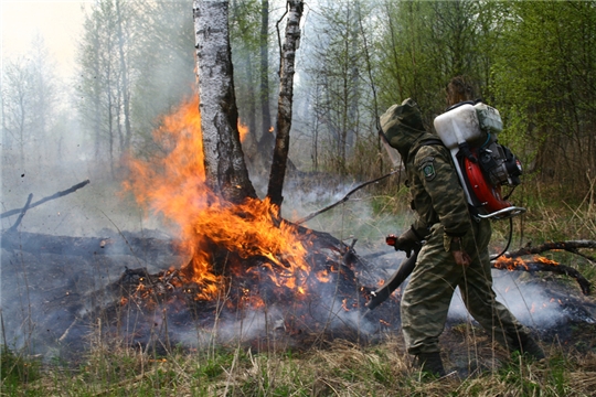 Президент РФ Владимир Путин подписал Указ «О мерах по сокращению площади лесных пожаров в Российской Федерации»