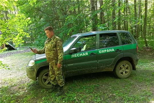 С начала года государственными лесными инспекторами Минприроды Чувашии проведено свыше 1400 патрулирований