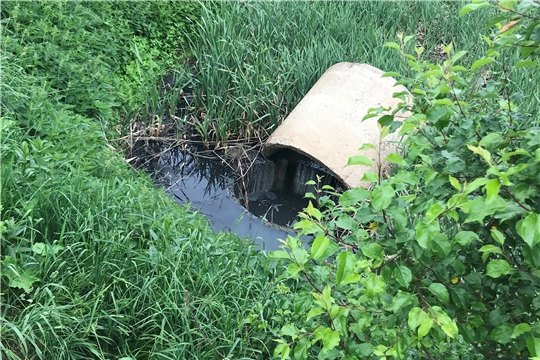 Минприроды Чувашии проводит проверку по фактам несанкционированного сброса неочищенных сточных вод в Чебоксарском районе