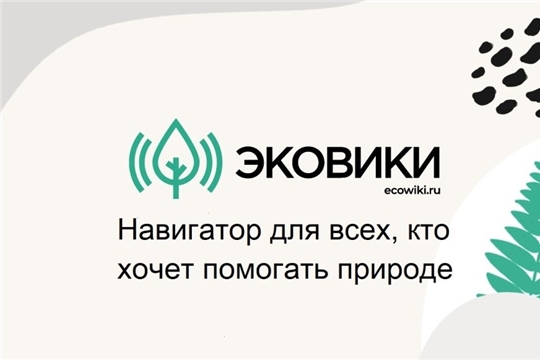 Платформа Движения ЭКА