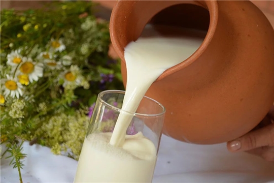 Объём реализации молока в сельхозорганизациях Чувашии вырос на 5,4%