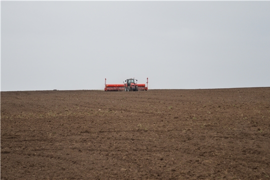 На 23 мая в хозяйствах республики посеяно 140 тыс. га яровых зерновых и зернобобовых культур
