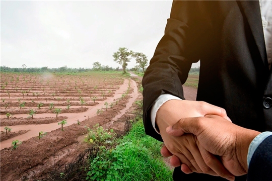 Законопроект о предоставлении фермерам земли в аренду без торгов внесен в Госдуму