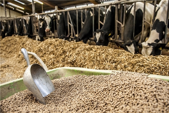 Правительство упростило процедуру государственной регистрации кормовых добавок для животных