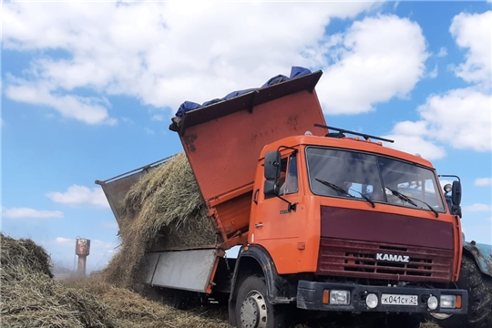 В Шемуршинском районе продолжается заготовка сена и сенажа