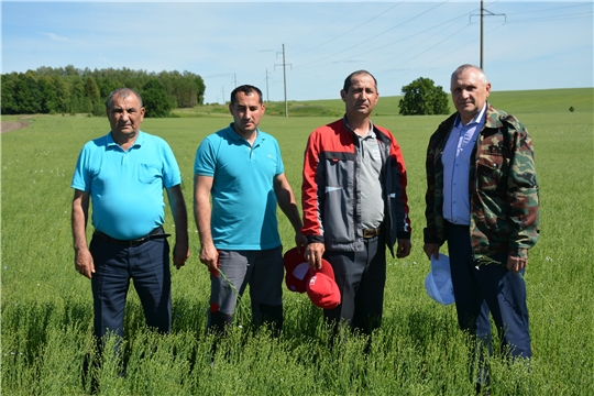 В хозяйствах Вурнарского района наряду с заготовкой кормов готовятся к приему зерна нового урожая