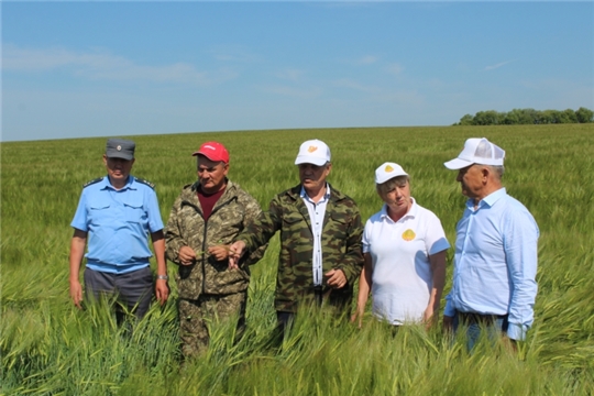 Комиссионный смотр готовности к уборке урожая «Жатва - 2022» в СХПК «Комбайн»