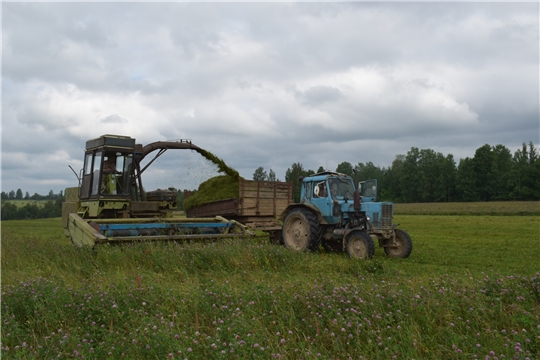 В Моргаушском районе продолжается заготовка кормов 