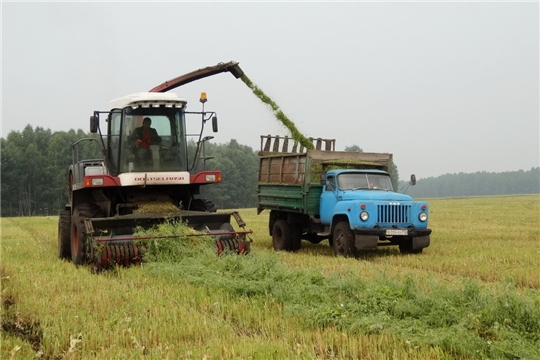 В Моргаушском районе заготовка кормов продолжается