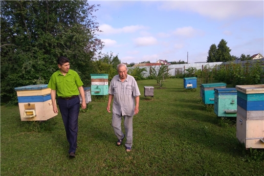Алексей Федоров: за почти 30 лет пчеловодства вывел для себя идеальный сорт меда - липовый чувашский.