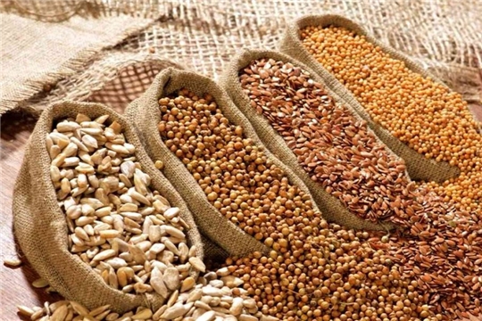 Минсельхоз России предложил установить квоту на импорт семян 