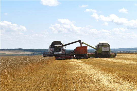 В передовых хозяйствах республики урожайность зерновых культур выше 50 ц/га.