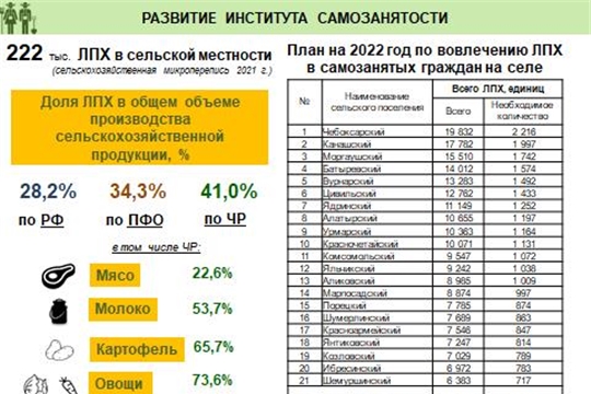 Господдержку получили 45 самозанятых в ЛПХ селян в 5 районах Чувашии