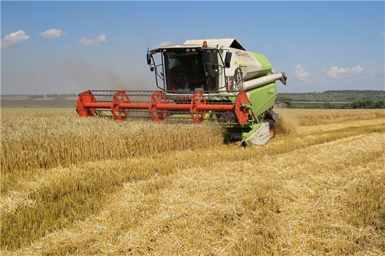 В Алатырском районе завершается уборка зерновых и зернобобовых культур