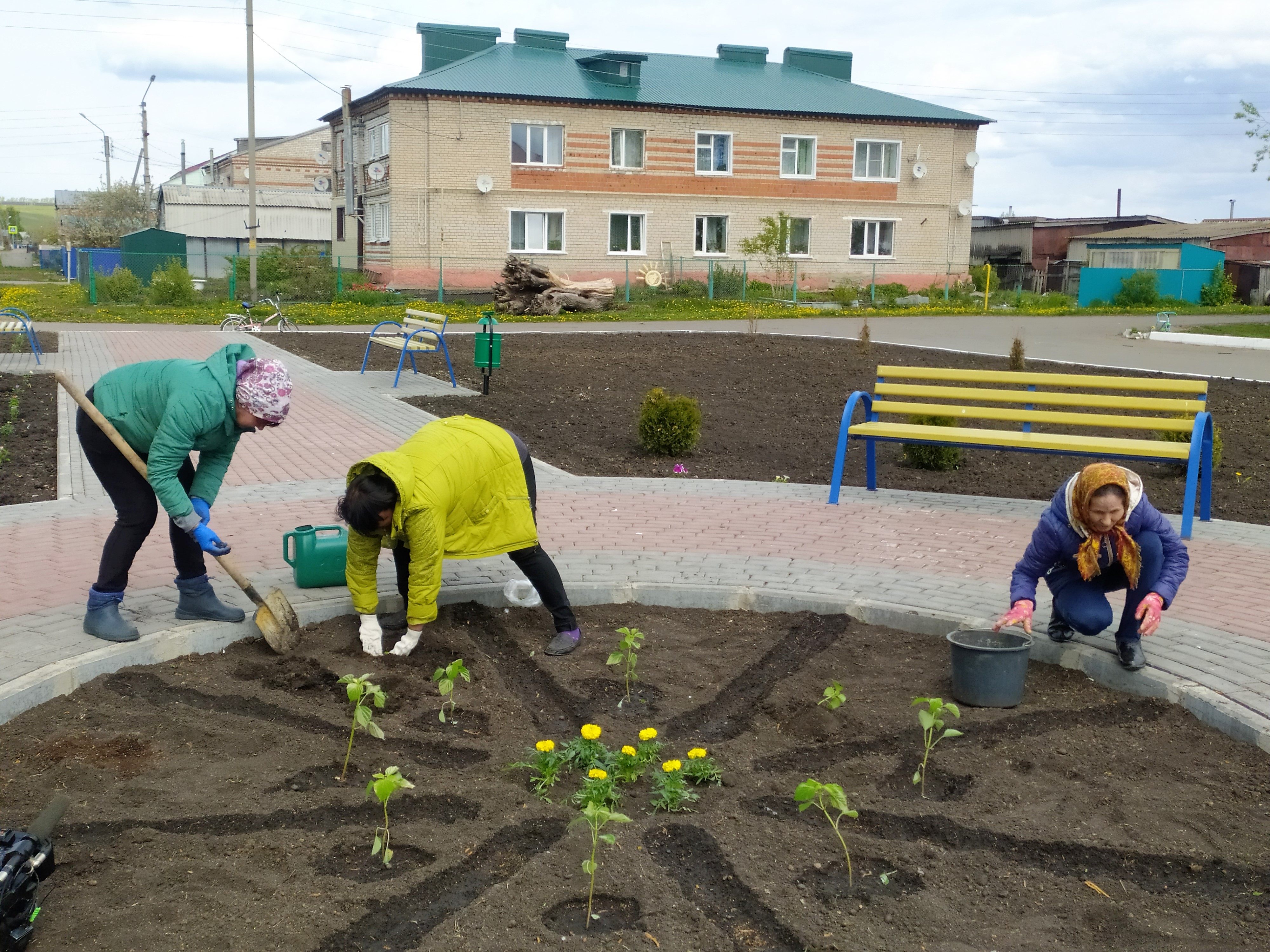 Более 1600 человек трудоустроены с начала года на временные общественные  работы | Министерство труда и социальной защиты Чувашской Республики