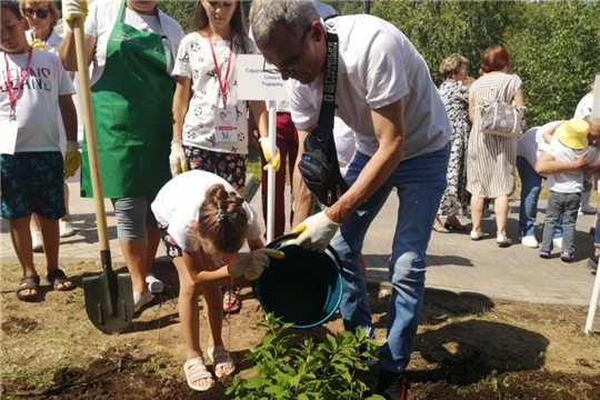 Участники конкурса «Успешная семья Приволжья» высадили в Чебоксарах саженцы гортензии