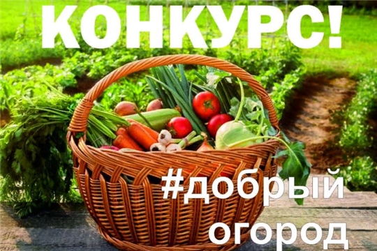 Всероссийский конкурс #Добрый огород: определены победители  второго этапа