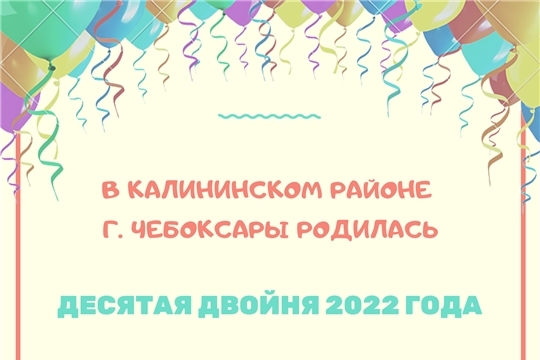 Аисты все чаще летают парами: в Калининском районе зарегистрирована королевская двойня