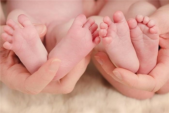 В текущем году в Чувашии родилось 44 двойни