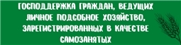  Господдержка граждан, ведущих личное подсобное хозяйство, зарегистрированных в качестве самозанятых