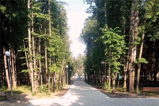 Национальный  проект «Жилье и городская среда» в Моргаушском районе: «такого красивого парка нигде нет в округе»