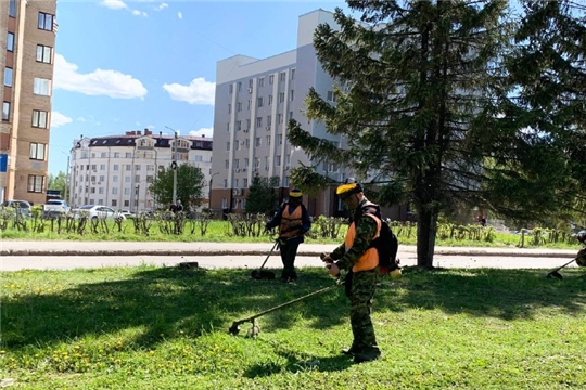 Работники сферы жилищно-коммунального хозяйства г. Чебоксары организовали мероприятия по покосу травы