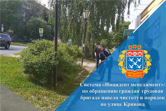Система «Инцидент менеджмент»: по обращению граждан трудовая бригада навела чистоту и порядок по улице Кривова