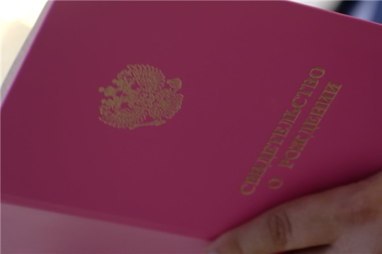 В Чувашии начали регистрировать рождение детей онлайн