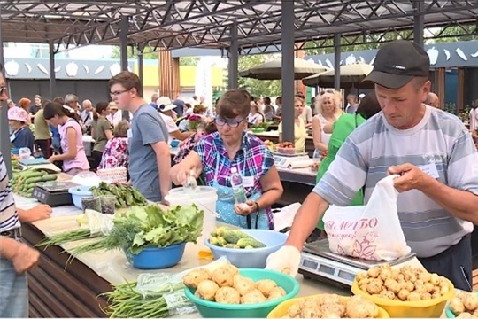 В Чебоксарах почти за 6 млн рублей построили новый фермерский рынок