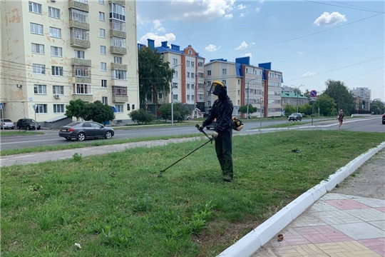 В столице Чувашии организована работа по покосу травы: идет второй этап