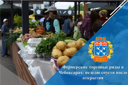 Фермерские торговые ряды в Чебоксарах: неделю спустя после открытия