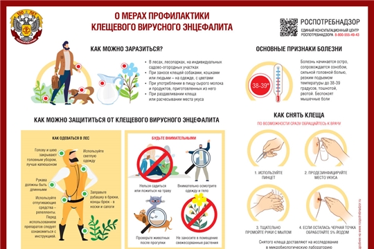 О мерах профилактики клещевого вирусного энцефалита рассказывают специалисты