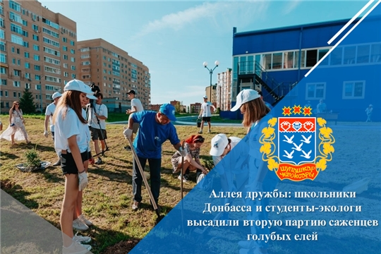 Аллея дружбы: школьники Донбасса и студенты-экологи высадили вторую партию саженцев голубых елей