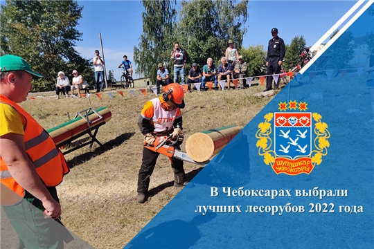 В Чебоксарах выбрали лучших лесорубов 2022 года