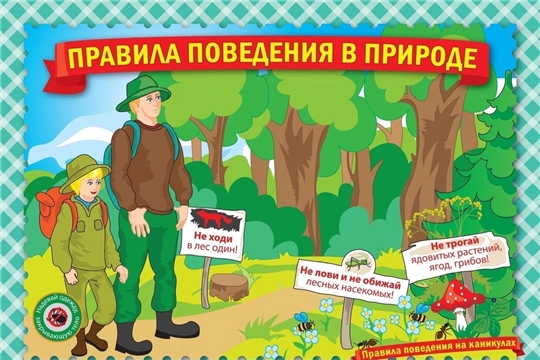 Соблюдайте элементарные правила безопасности в лесу
