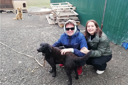 Новости добровольчества: студенты МЦК-ЧЭМК посетили муниципальный приют для собак