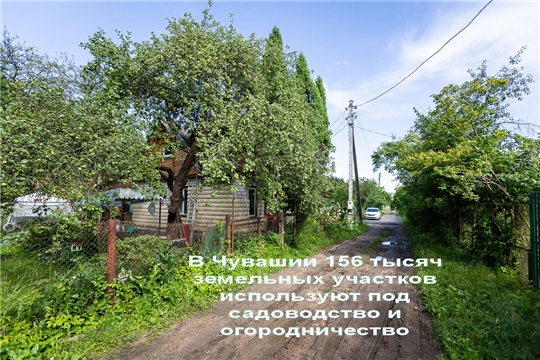 В Чувашии 156 тысяч земельных участков используются под садоводство и огородничество