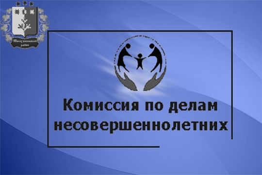 Плановое заседание комиссии по делам несовершеннолетних и защите их прав администрации Шемуршинского района