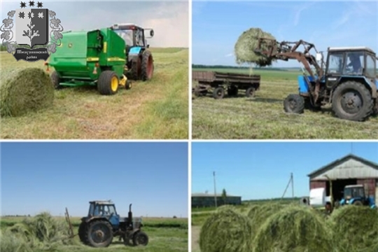 Заготовка кормов на зимовку