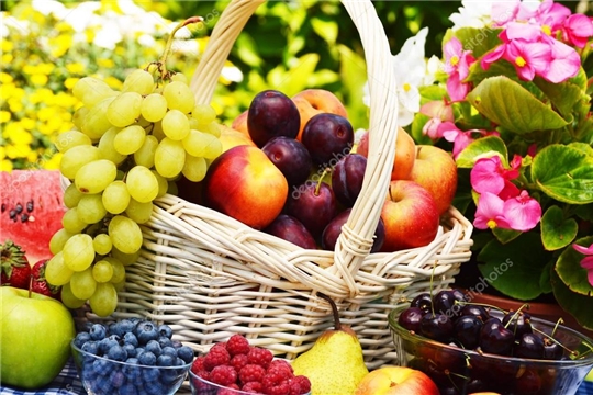 Что нужно знать о сезонных фруктах и ягодах