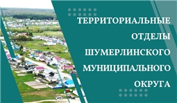 Территориальные отделы