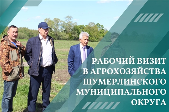 Рабочий визит в агрохозяйства Шумерлинского муниципального округа