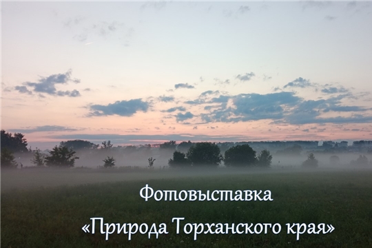 Торханская сельская библиотека приглашает принять участие в создании онлайн фотовыставки «Природа Торханского края»