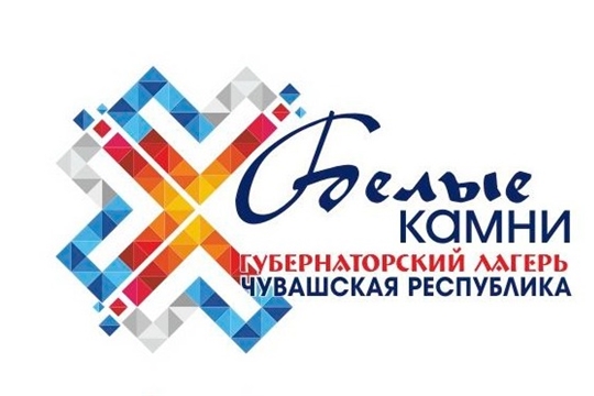 Утвержден логотип «Губернаторского лагеря» при ФОЦ «Белые камни»