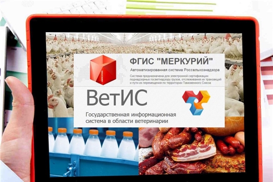 О работе в ФГИС «Меркурий» на территории Чувашской Республики за первое полугодие 2022 года