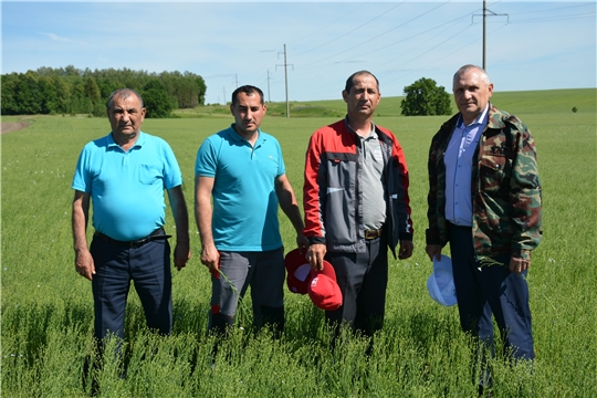 В хозяйствах района наряду с заготовкой кормов готовятся к приему зерна нового урожая